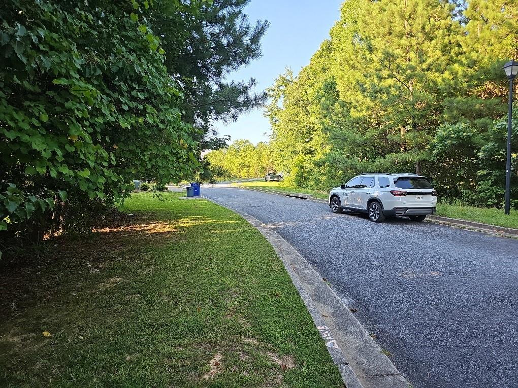 Stonecrest Court, Rockmart, Georgia image 4