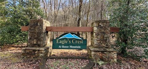 Vacant Land For Sale - Reece Mountain Road<br/> Ellijay, GA 30536