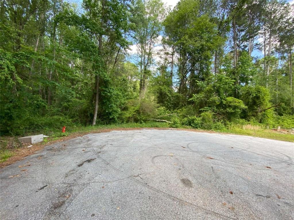 1675 Mccollum Road, Conyers, Georgia image 4
