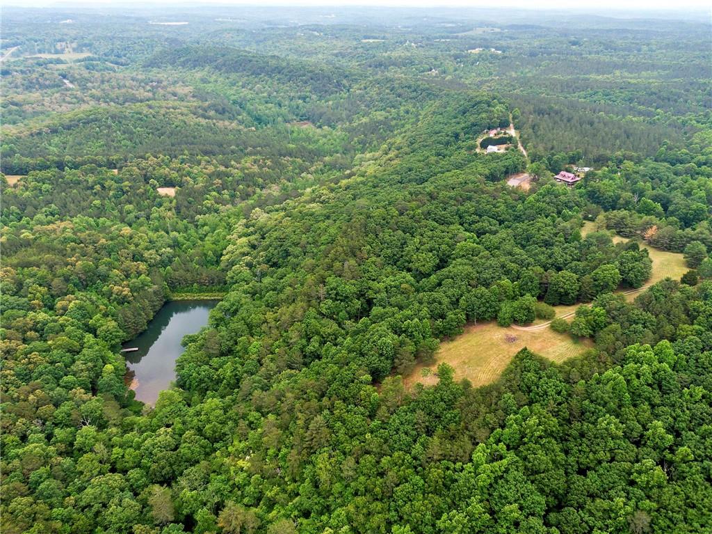 1402 Henderson Mountain Road, Jasper, Georgia image 24