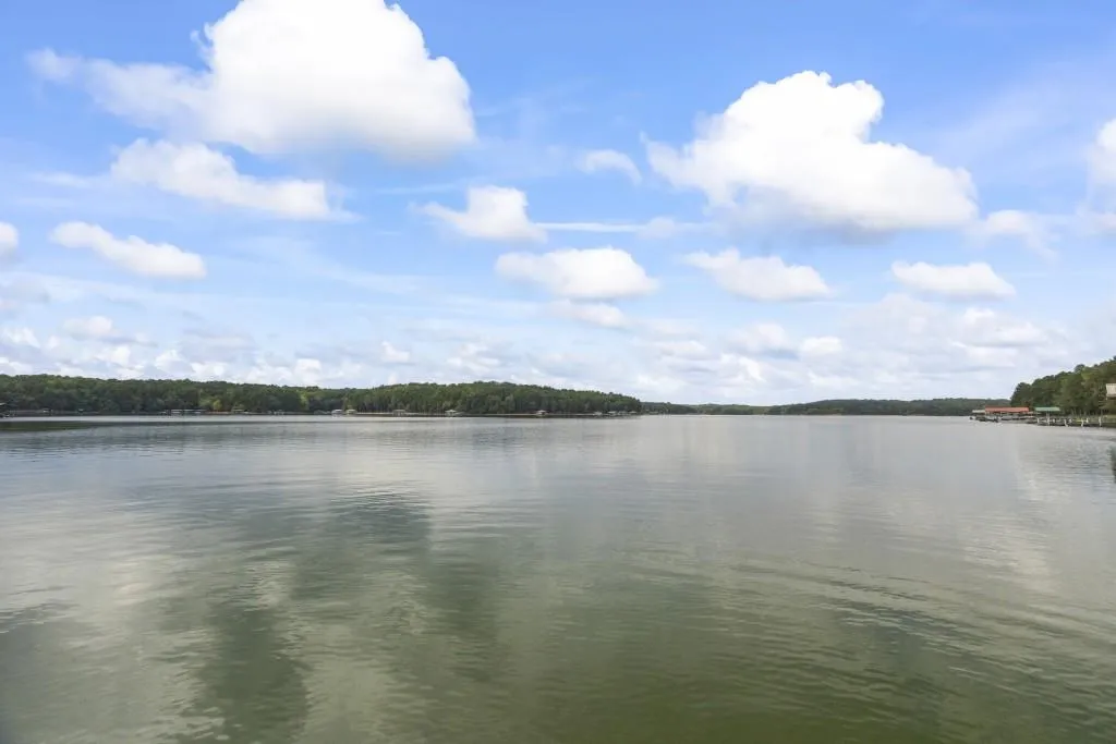 Lavonia, Georgia 30553, United States, 3 Bedrooms Bedrooms, ,2 BathroomsBathrooms,Residential,Pending,204257