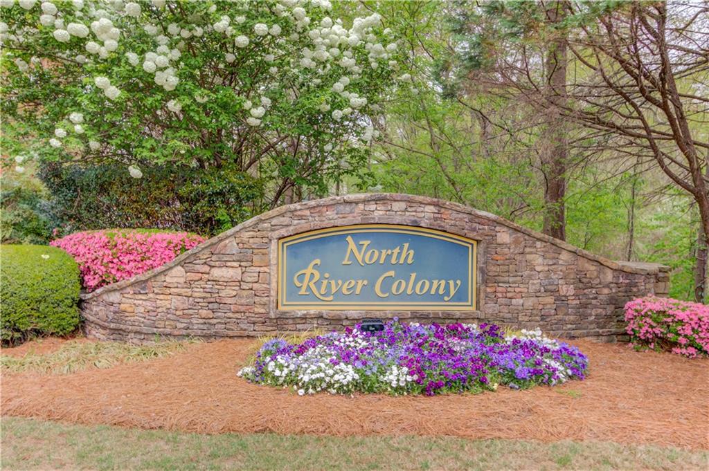 1193 Colony Creek Court, Lawrenceville, Georgia image 38