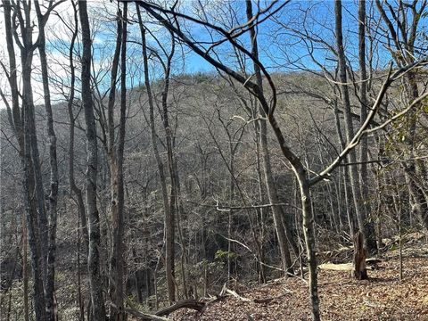 Vacant Land For Sale - LT1141 Oglethorpe Mountain Road<br/> Jasper, GA 30143