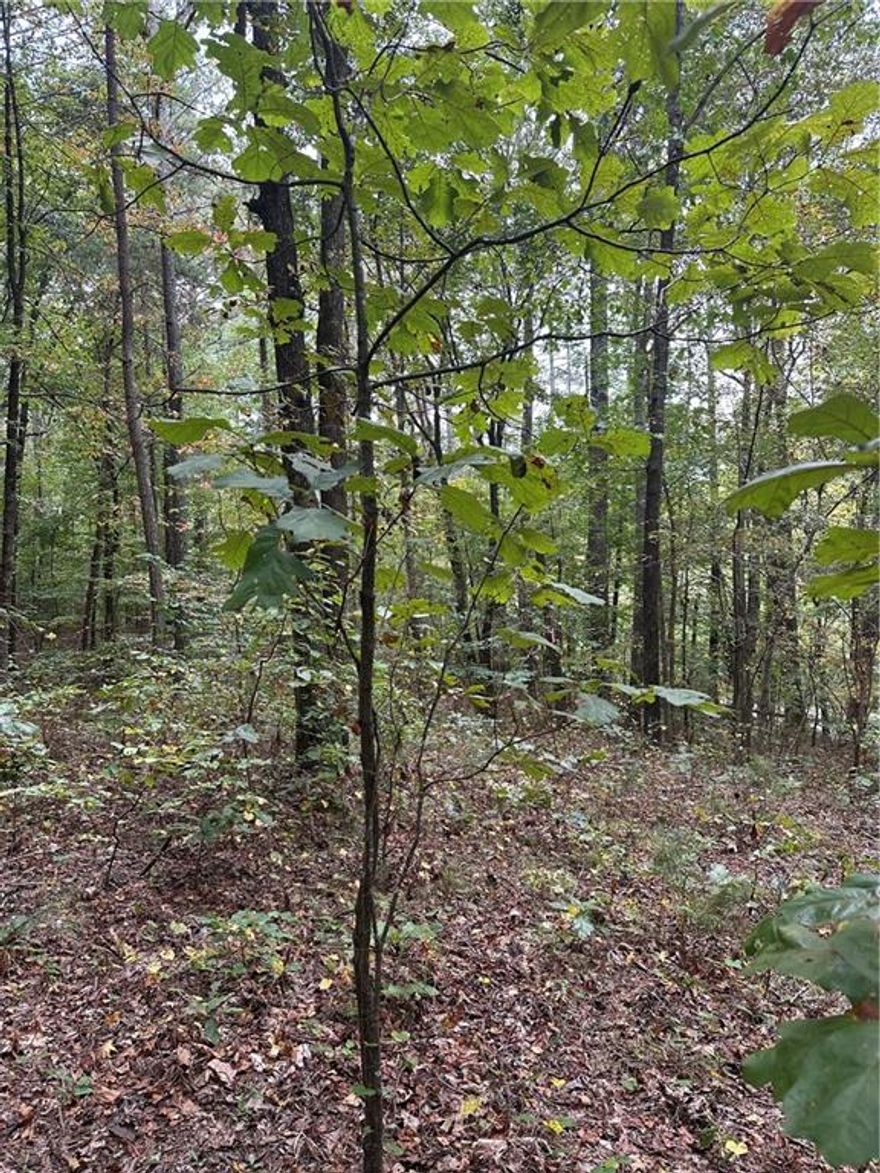 Rare affordable lot in Salacoa valley. 3 lots available. All 3 lots will have a view in winter of beautiful Salacoa creek. Nice level building areas for each lot that could accommodate a slab or basement. Large mature woods surrounding for complete privacy. County water is available. All soil work completed and ready to build. No restrictions. Blank slate create what you want. Bring your builder or if you need one we can provide. New high school opening in 2026. Get there quick! These lots won't last.