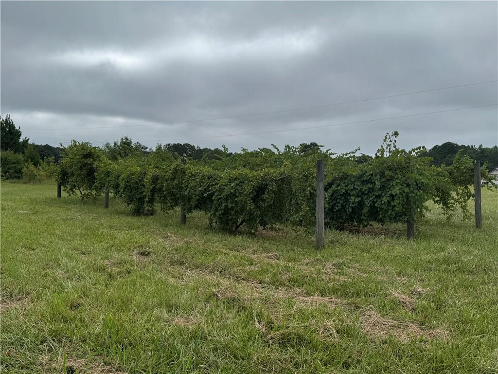 4989 GA Hwy 362