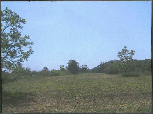 Build your dream home! 7.45 acres on Sandy Ford Road in Social Circle. This beautiful tract is partially open and wooded acreage with a view of proposed reservoir with over 400' of frontage. This is priced to sell at $18,500 per acre.