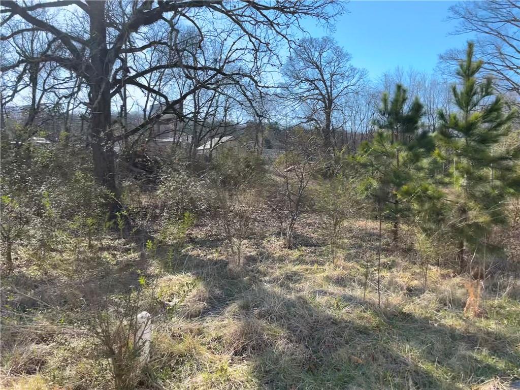 1201 Carline Road, Rossville, Georgia image 3
