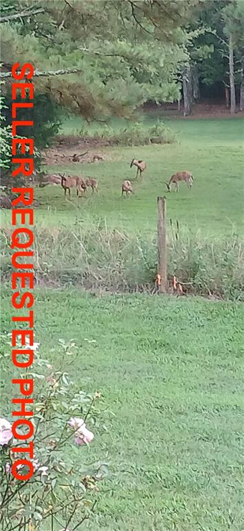 1593 Old Alabama Road