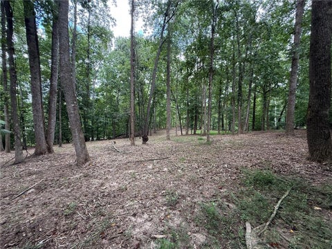 Vacant Land For Sale - 0000 Bailey Mill Rd Road<br/> Forsyth County, Gainesville, GA 30506