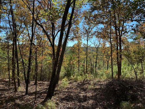Vacant Land For Sale - TR 2 Culp Lake Road<br/> Cedartown, GA 30125