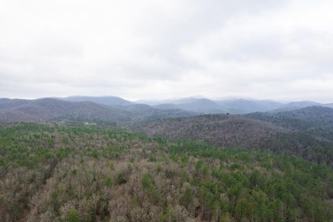 A home in Blue Ridge