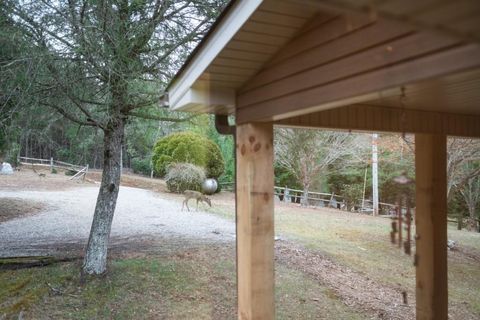 A home in Blue Ridge