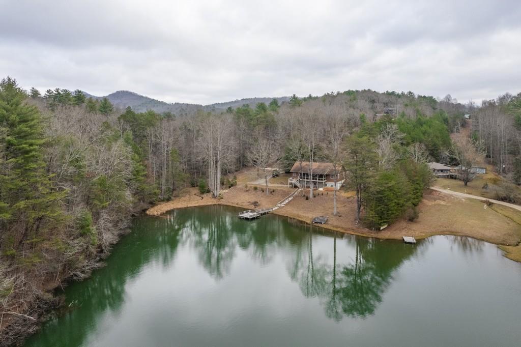 230 Mountain Lake Circle, Blue Ridge, Georgia image 1