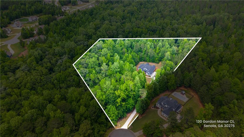 130 Gordon Manor Court, Senoia, Georgia image 2
