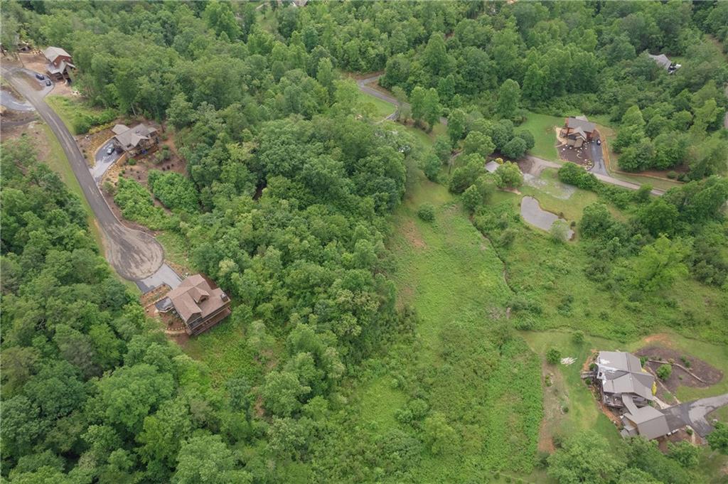 LOT 40 Staurolite Mountain, Blue Ridge, Georgia image 50