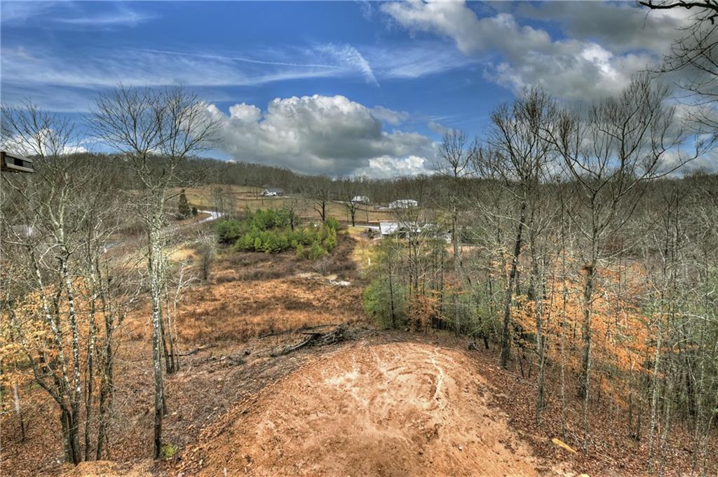 LOT 40 Staurolite Mountain, Blue Ridge, Georgia image 39