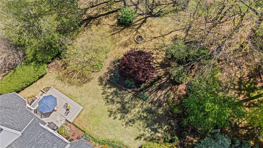 135 Ardsley Run, Canton, Georgia image 45