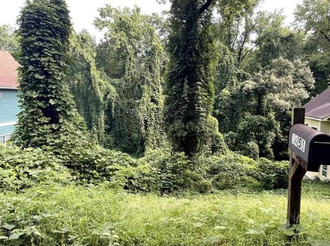 Vacant Land For Sale - 1451 Andrews Street<br/> Fulton County, Atlanta, GA 30314