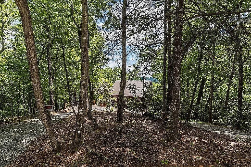 137 Ascherman Court, Blue Ridge, Georgia image 34