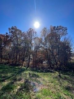 201 Owen Glen, Blairsville, Georgia image 2