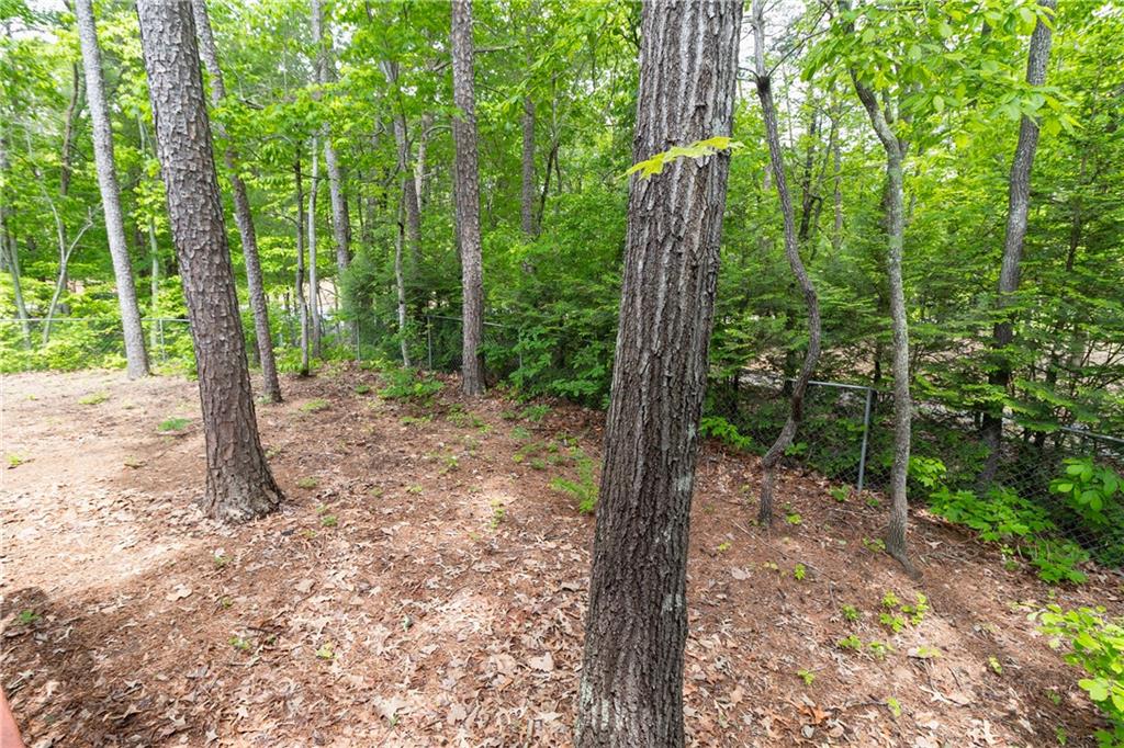 15 Falcon Brook Drive, Dahlonega, Georgia image 47