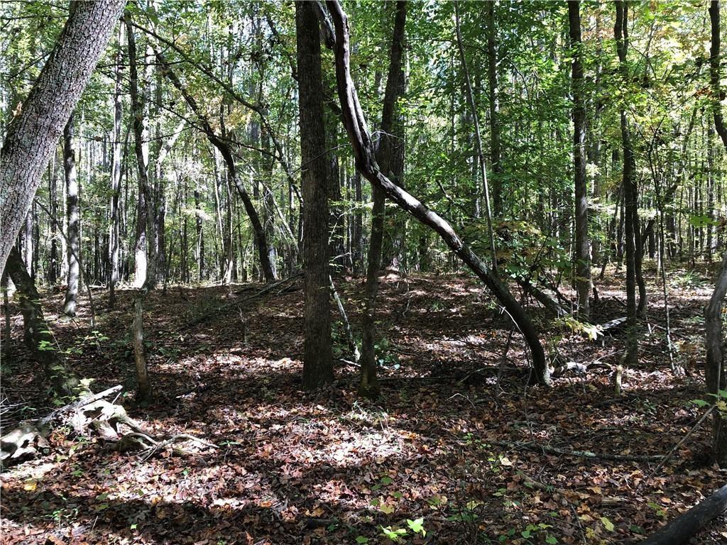 Coady Road, Jackson, Georgia image 6