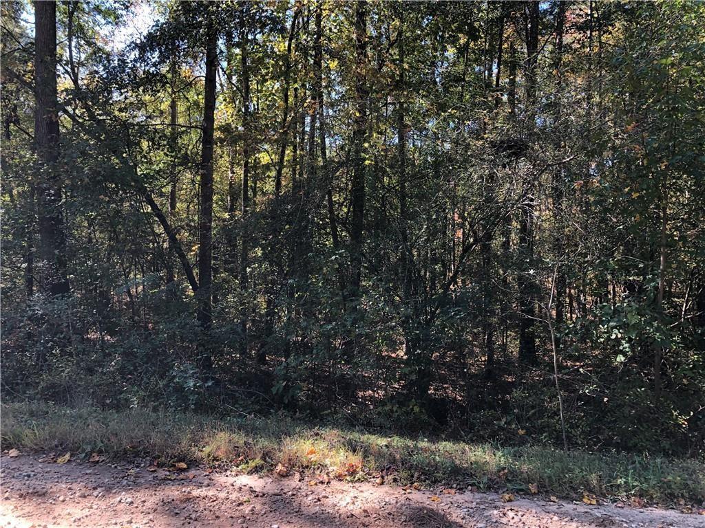 Coady Road, Jackson, Georgia image 5