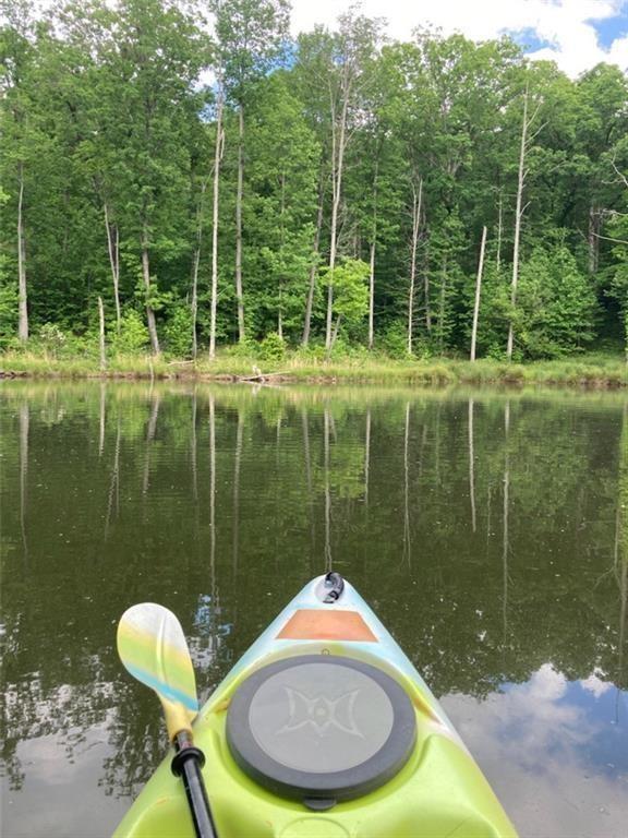 4 Long Mountain Trail, Cleveland, Georgia image 4