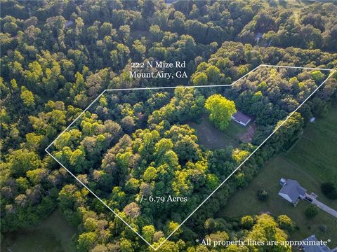 222 N Mize Road Mount Airy GA 30563