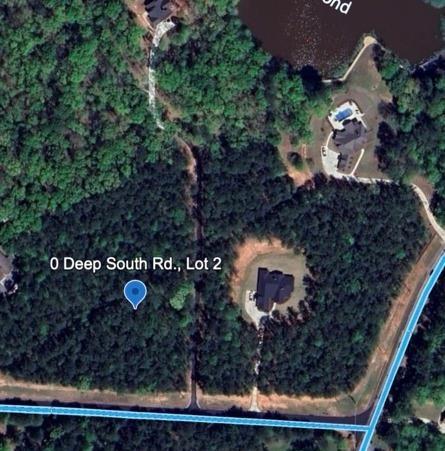 Deep South Road, Senoia, Georgia image 1