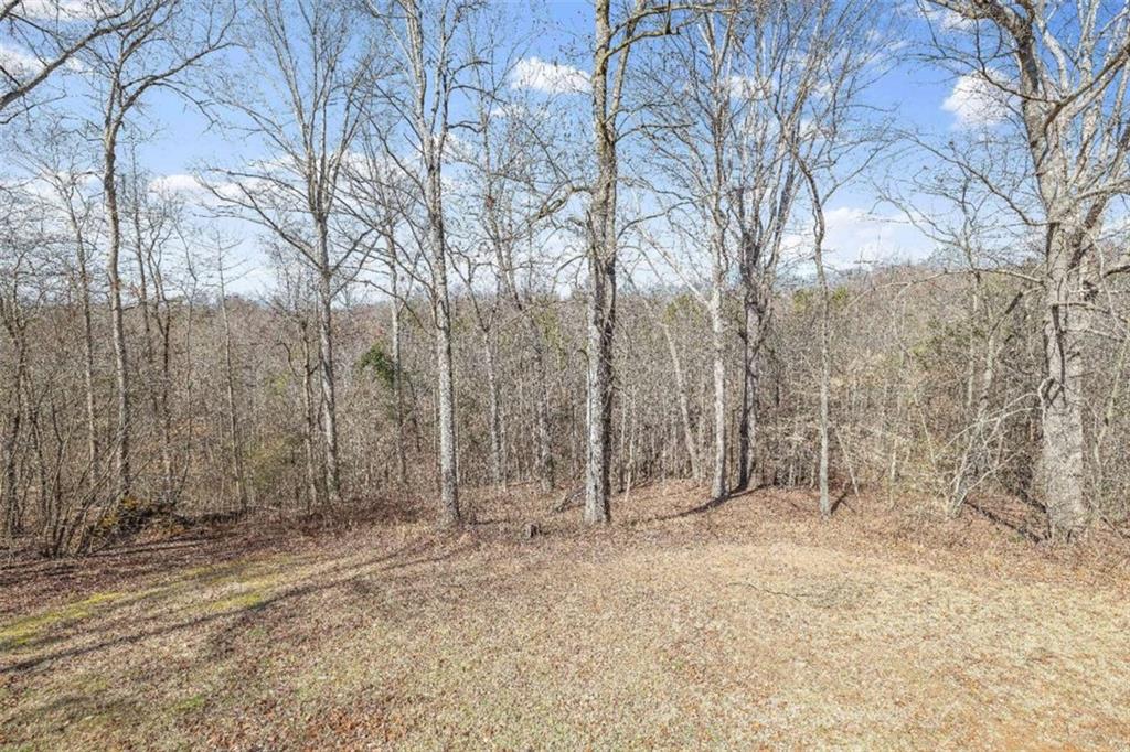 4456 Whiporwill Road, Gillsville, Georgia image 22
