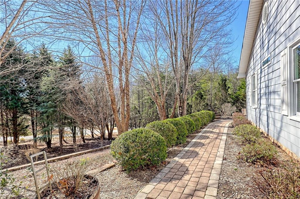 185 Starlight Drive, Sautee Nacoochee, Georgia image 3