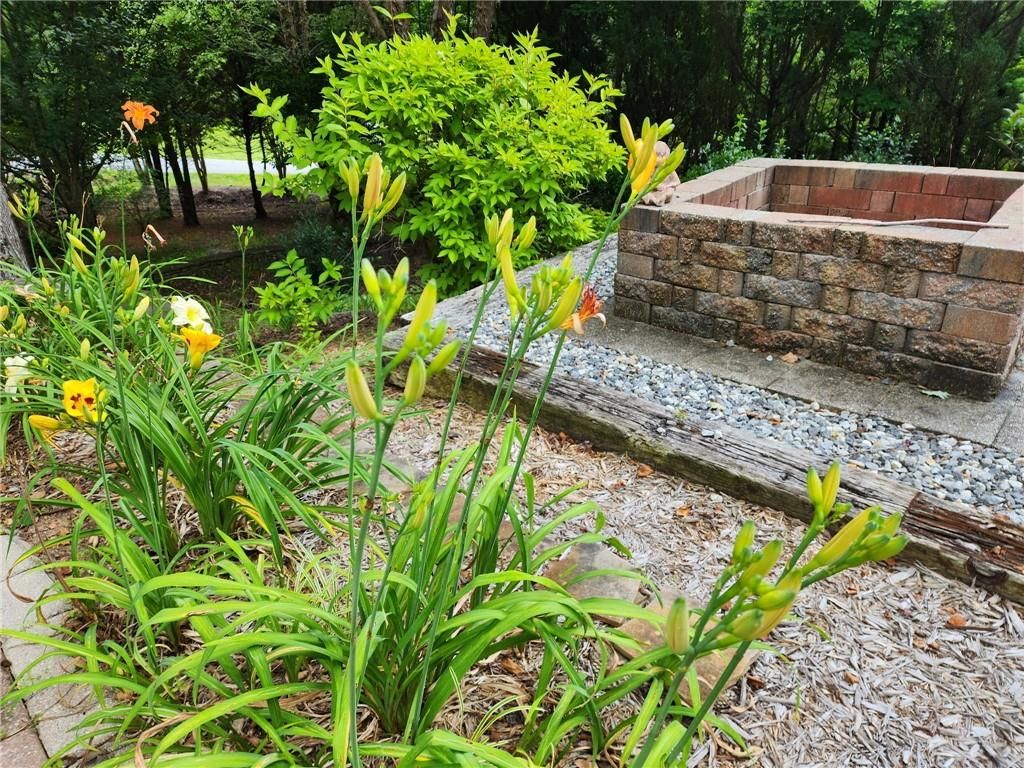 listing image 83