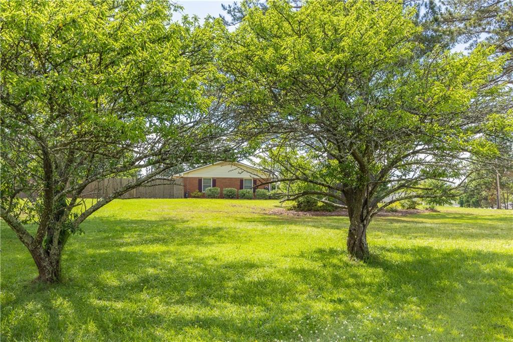 675 Mountain View Drive, Thomaston, Georgia image 6