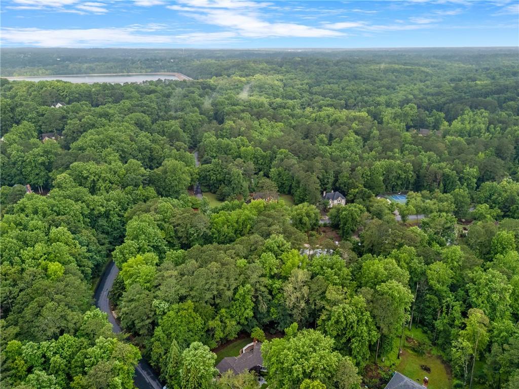 630 Buttercup Trace, Johns Creek, Georgia image 8