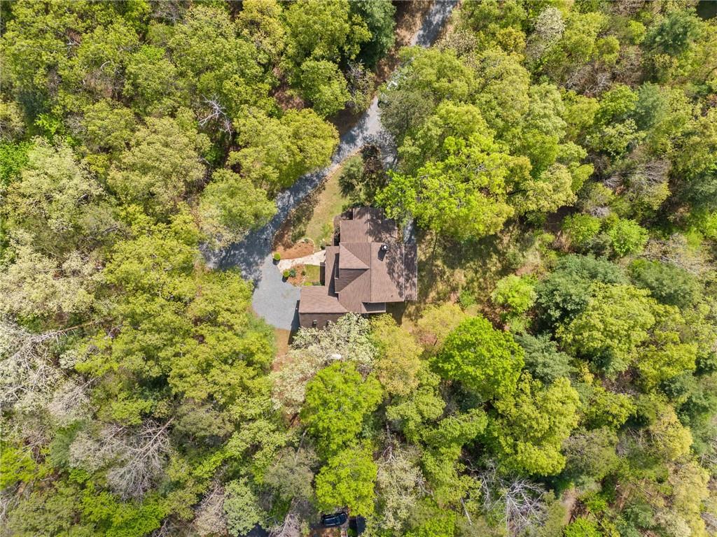 420 Martin Road, Ellijay, Georgia image 2