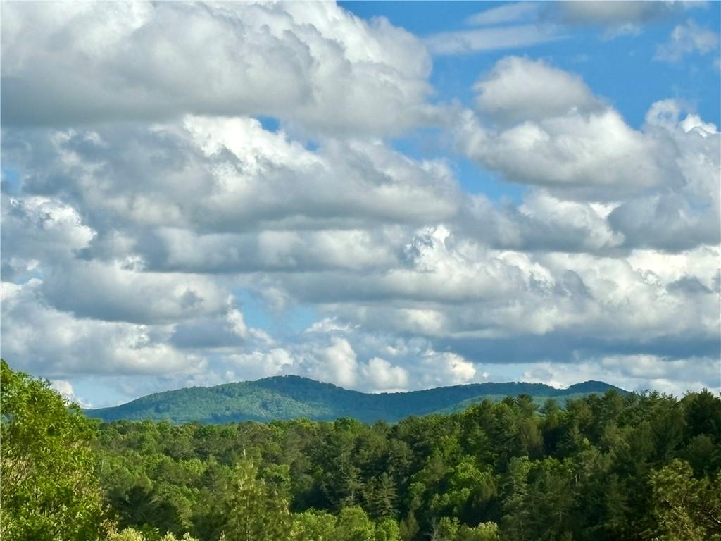 420 Martin Road, Ellijay, Georgia image 45