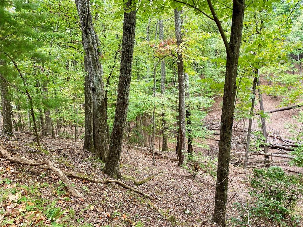 327 Grouse Gap Drive