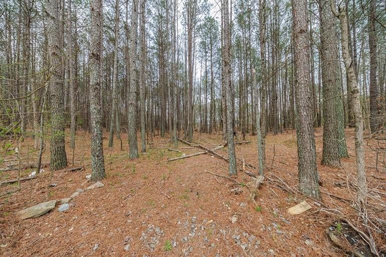 13585 Arnold Mill Rd Road