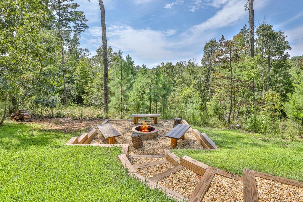 211 Big Timber Road, Mineral Bluff, Georgia image 44