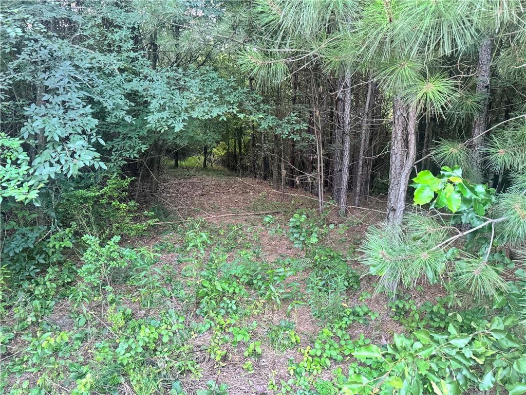 Dews Pond Road, Calhoun, Georgia image 1