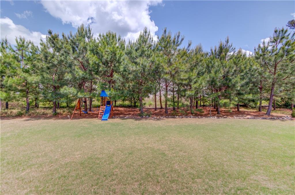 3049 Ivy Crossing Drive, Buford, Georgia image 35