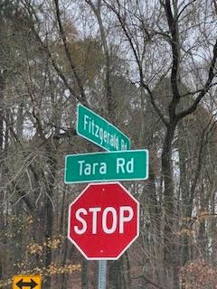 Tara Road, Jonesboro, Georgia image 10