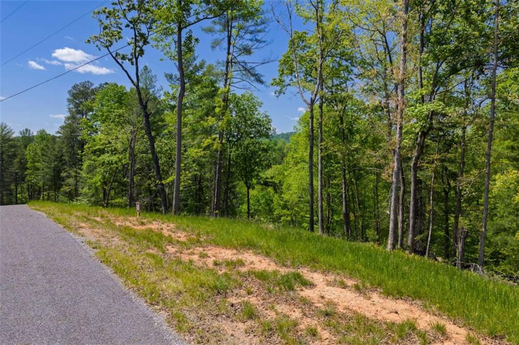 LT 343 Shallow Branch Drive