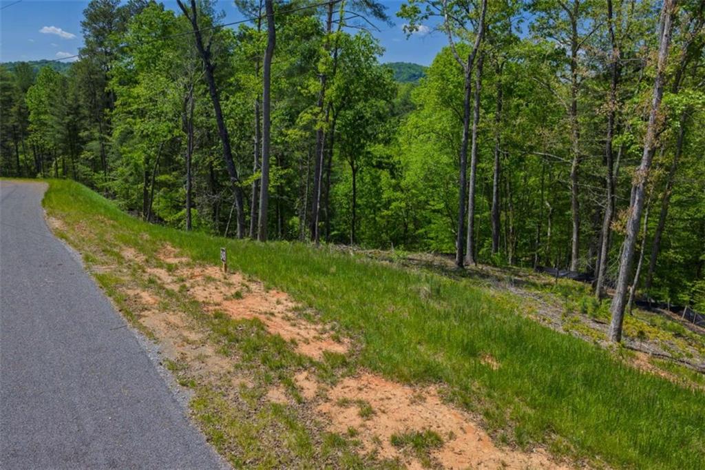 LT 343 Shallow Branch Drive