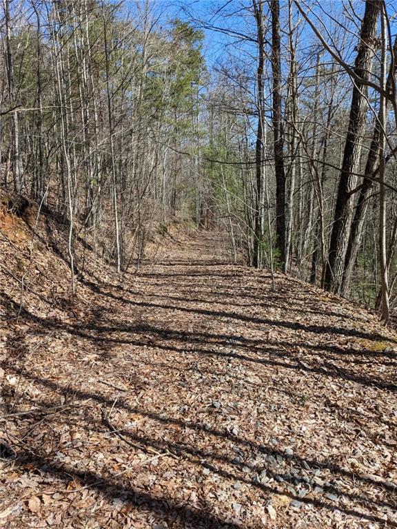 My Mountain Road, Morganton, Georgia image 3