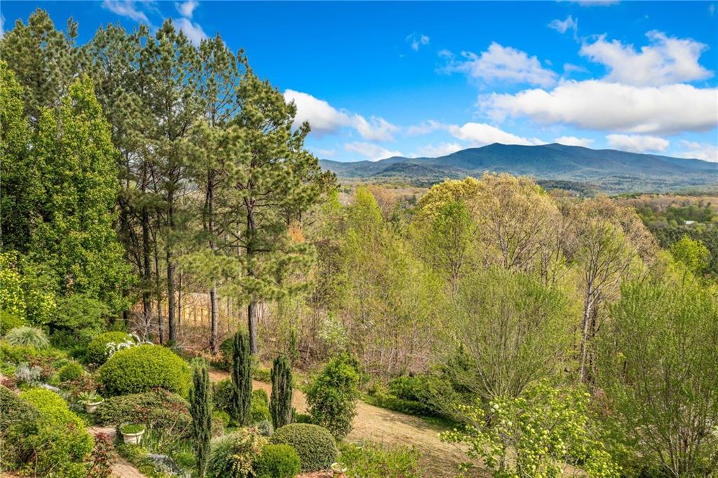 100 Fox Paw Leaf Court, Ellijay, Georgia image 42