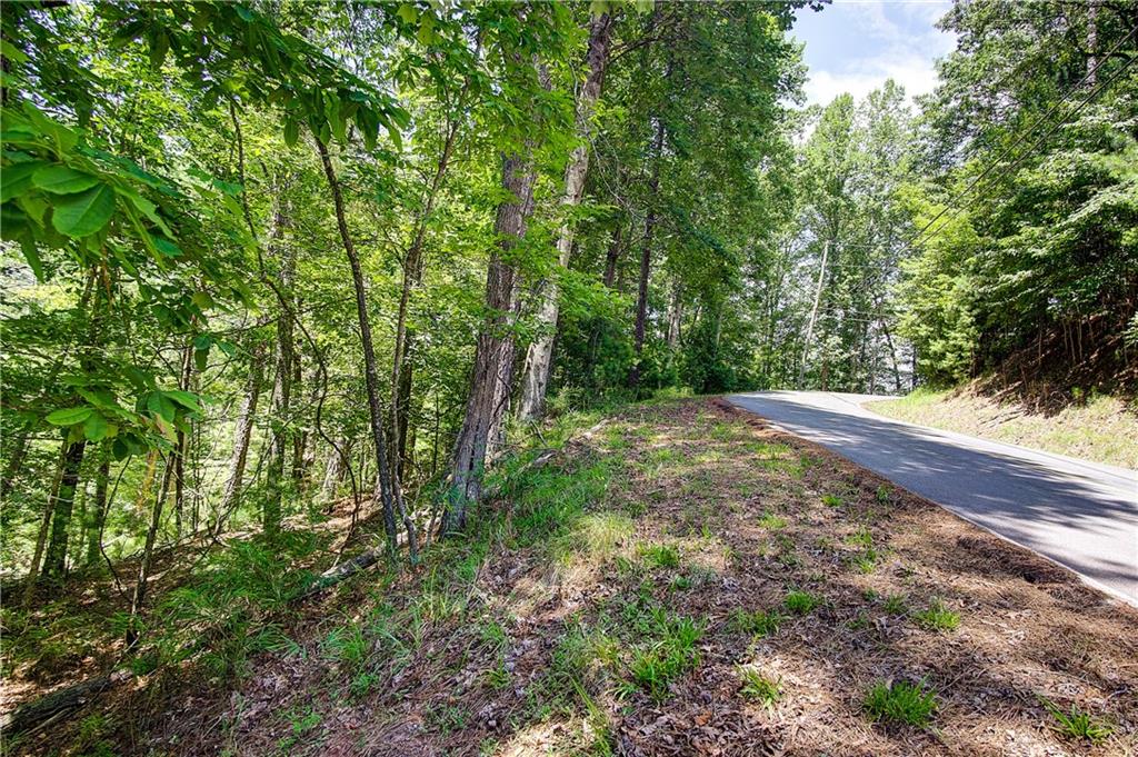 00 Newport Drive, Ellijay, Georgia image 1