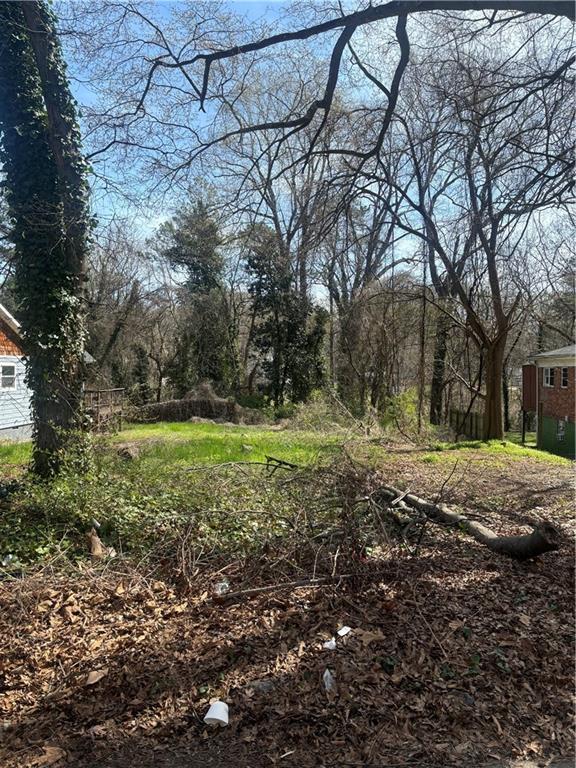 419 Lanier Street, Atlanta, Georgia image 3