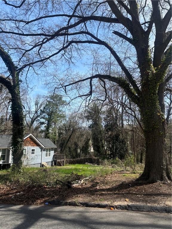 419 Lanier Street, Atlanta, Georgia image 2
